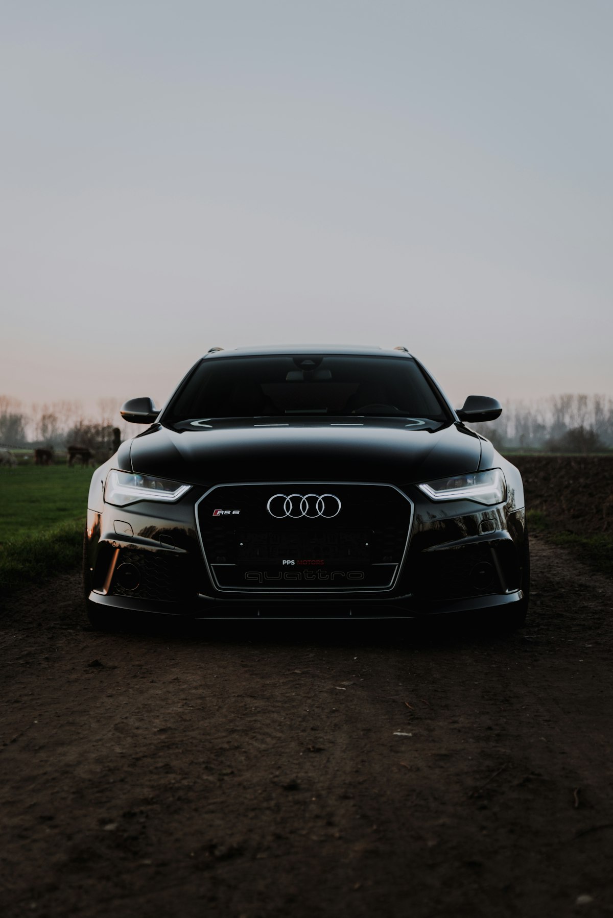 Cars & vehicles