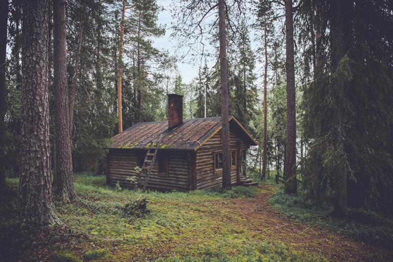 Mountain cabin